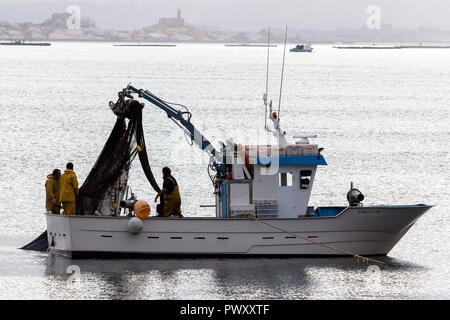 Barcos de pesca de cerco Banque D'Images