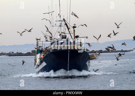 Barcos de pesca de cerco Banque D'Images