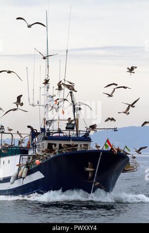 Barcos de pesca de cerco Banque D'Images