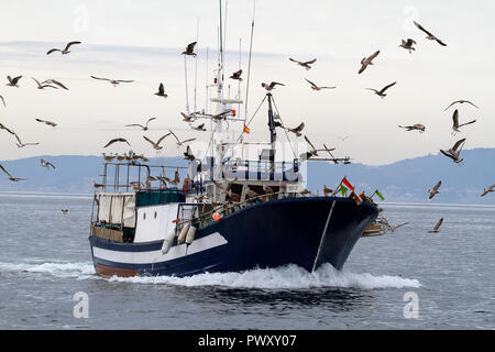 Barcos de pesca de cerco Banque D'Images