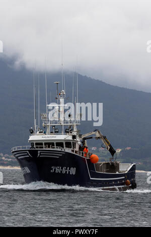 Barcos de pesca de cerco Banque D'Images