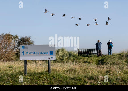 Marshside RSPB, Lancashire. 18/10/2018 Météo France lumineuse, ensoleillée, un démarrage à froid à la journée en rose pieds tête oies pour leurs aires d'alimentation de la côte. La migration commence au début de l'automne à l'hivernage, qui sont presque entièrement en Grande-Bretagne. Puffin à bernaches migrent dans les troupeaux qui se comptent par milliers à l'heure actuelle, les compter dans ce domaine est estimée à échevettes 12 000 oiseaux. /AlamyLiveNews MediaWorldImages ; crédit. Banque D'Images