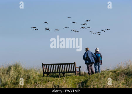 Marshside RSPB, Lancashire. 18/10/2018 Météo France lumineuse, ensoleillée, un démarrage à froid à la journée en rose pieds tête oies pour leurs aires d'alimentation de la côte. La migration commence au début de l'automne à l'hivernage, qui sont presque entièrement en Grande-Bretagne. Puffin à bernaches migrent dans les troupeaux qui se comptent par milliers à l'heure actuelle, les compter dans ce domaine est estimée à 12 000 oiseaux. /AlamyLiveNews MediaWorldImages ; crédit. Banque D'Images