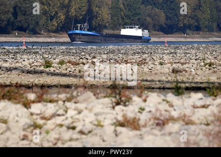 Karlsruhe, Allemagne. 18 Oct, 2018. À cause du niveau d'eau, épis lieu hors de l'eau sur le Rhin près de Karlsruhe. Il y a un navire passant derrière. Après des mois de sécheresse, le niveau du Rhin à Karlsruhe est tombée à un faible. À 3,14 mètres jeudi matin (Maxau jauge), la valeur est 3,20 mètres au-dessous de la valeur du 22 septembre 2003, selon le centre de prévision des inondations dans la région de Bade-Wurtemberg. Credit : Uli Deck/dpa/Alamy Live News Banque D'Images