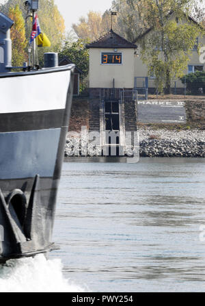 Karlsruhe, Allemagne. 18 Oct, 2018. La jauge du Rhin près de Karlsruhe Maxau indique une hauteur de 3,14 mètres. Après des mois de sécheresse, le niveau du Rhin à Karlsruhe est tombée à un faible. À 3,14 mètres jeudi matin (Maxau jauge), la valeur est 3,20 mètres au-dessous de la valeur du 22 septembre 2003, selon le centre de prévision des inondations dans la région de Bade-Wurtemberg. Credit : Uli Deck/dpa/Alamy Live News Banque D'Images