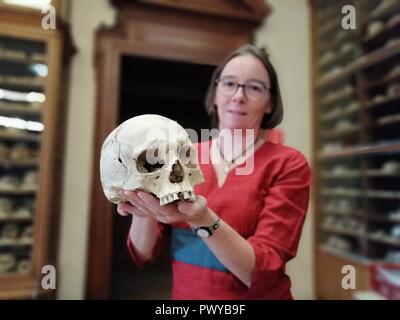 Vienne, Autriche. 16 Oct, 2018. Karin Wiltschke, directeur adjoint de la collection ostéologique du Musée d'histoire naturelle de Vienne (NHM), détient le crâne d'un homme victime de violence qui est mort il y a environ 1 000 ans. Du 24 octobre au 28 avril 2019, le NHM accueillera l'exposition 'Krieg. Pour être vu sur les traces d'une "évolution". (Dpa : 'un trésor presque inconnue des os - un spectacle sur l'histoire de guerre' à partir de 19.10.2018) Crédit : Matthias Röder/dpa/Alamy Live News Banque D'Images