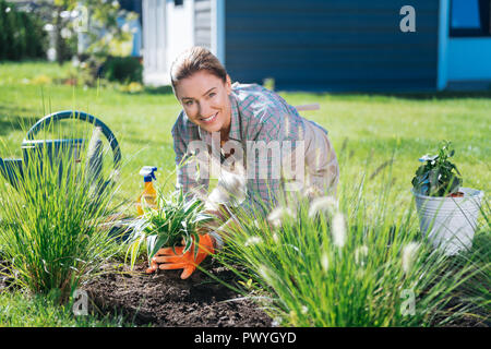 Grand défenseur de l'environnement propre passer son matin près de flower bed Banque D'Images