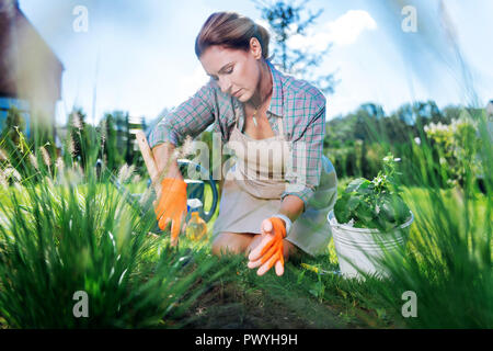 Mature séduisante femme portant des gants orange tirant sur les mauvaises herbes au jardin Banque D'Images