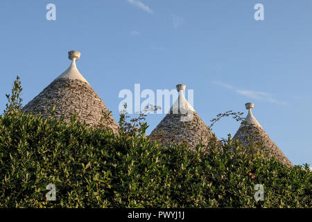 Vue sur les toits coniques de trois maisons trulli derrière une haie vive à Alberobello, dans les Pouilles, en Italie. Photographié par temps clair. Banque D'Images