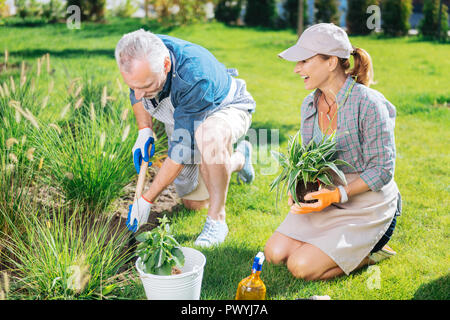 Beau couple heureux sentiment tandis que les dépenses leur journée mémorable dans jardin Banque D'Images