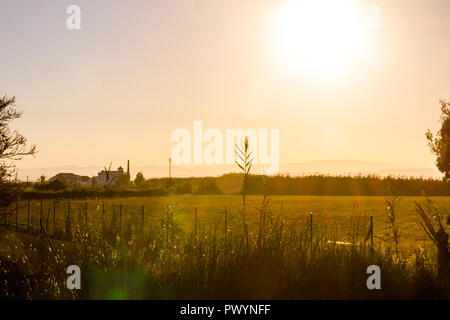 Rizières au coucher du soleil dans la Albufera, Valencia, Espagne Banque D'Images