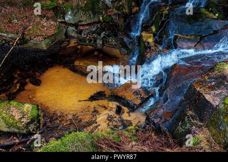 Ruisseau de montagne et étang Banque D'Images