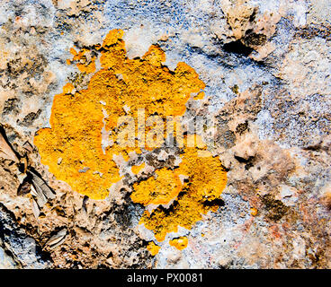 Surface macro, la beauté de l'Invisible Résumé Textures & Fonds, Athènes, Grèce Banque D'Images