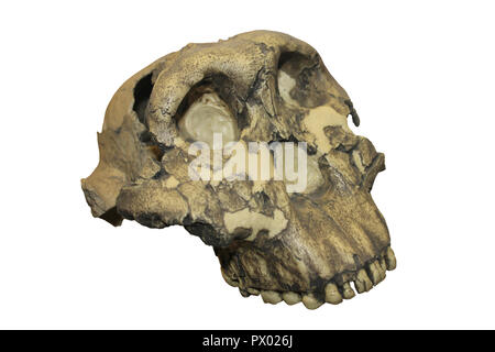 L'homme casse-noisette Banque D'Images