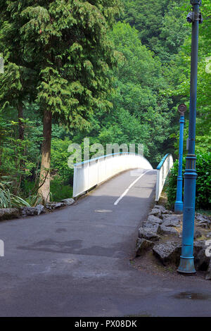 Passerelle sur la rivière Derwent Jardins Derwent dans Matlock Bath Derbyshire UK Banque D'Images