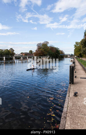 Un canoéiste masculin sur la Tamise à Teddington Lock,Angleterre,UK Banque D'Images