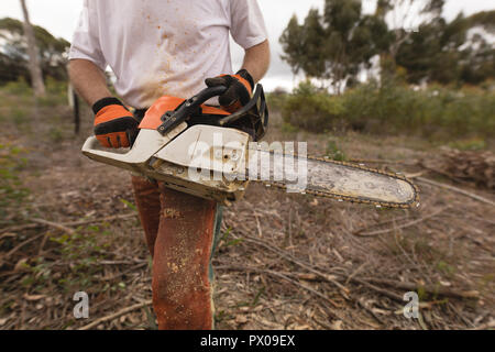 Chainsaw holding bûcheron dans la forêt Banque D'Images