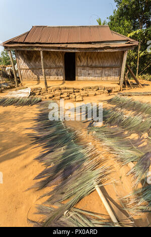 Balai gazon pour faire sécher au soleil, village Sakwa, Meghalaya, en Inde Banque D'Images