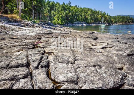 Petit et étroit des flaques apparaissent dans des fissures dans une côte rocheuse, avec un au-delà de la forêt et de coquilles et un voilier ancré dans la distance. Banque D'Images