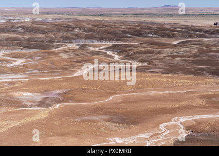 Belle vaste paysage désertique de la région de Blue Mesa de Petrified Forest National Park en Arizona USA Banque D'Images