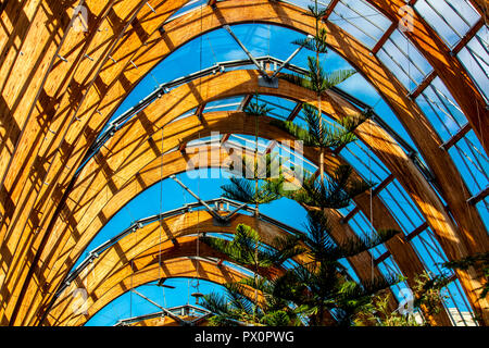 Sheffield, UK- le 31 août 2018 : Sheffield Winter Garden serre urbaine (bois lamellé) Détails de l'architecture d'Arches Banque D'Images