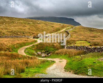 Le Pennine Way long distance chemin vers Pen y Ghent près de Horton dans Ribblesdale Angleterre Yorkshire Dales Banque D'Images