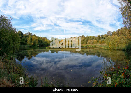 Adel dam nature reserve Leeds sur une belle après-midi d'automne Banque D'Images