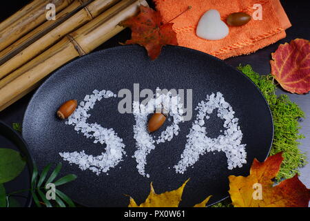 Spa mot écrit sur une plaque à côté de feuilles d'automne et de bambous. Banque D'Images