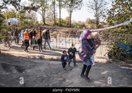 BERKASOVO, SERBIE - 31 octobre 2015 : femme entourée d'enfants réfugiés à pied de la Croatie Serbie, à la frontière entre les villes de Bapska et Berk Banque D'Images