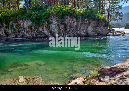 Paysage d'été sur la rive rocheuse de montagne rapide Chemal rivière émeraude avec de l'eau claire, falaise de calcaire avec des couverts de mousse et de lichen, dense fores Banque D'Images