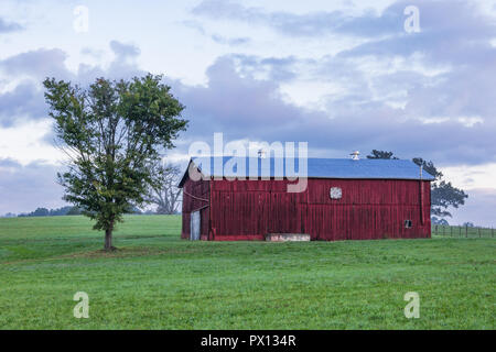 Calcaire, TN, USA-9/29/18 : une grange rouge et seul arbre dans une prairie d'herbe. Banque D'Images