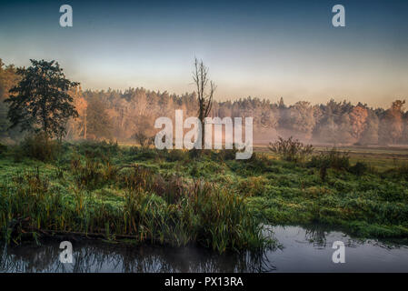 River dans le brouillard, juste avant le lever du soleil. Une lueur chaude dans les nuages à partir des premiers rayons du soleil. Banque D'Images