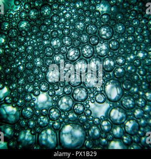 Surface, la macro monde ensorcelant de l'inconnaissable, Macro & Abstract Photography Project Banque D'Images