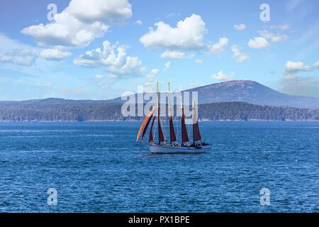 Un quatre-mâts goélette à voile à travers le port près de Bar Harbor, Maine Banque D'Images