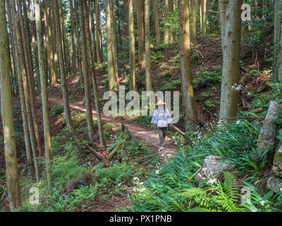 Pèlerin henro Henro balades, korogashi sentier forestier, à Yokomineji 60 temple, temple 88 Shikoku pèlerinage, Japon, Ehime Banque D'Images