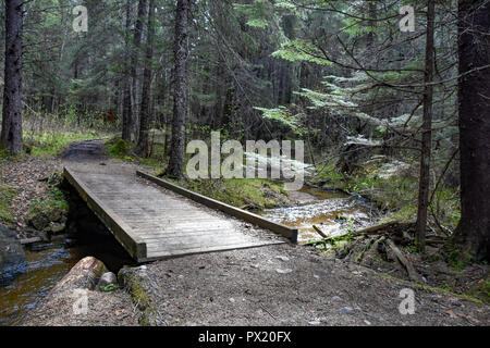 Près de pont de Dewey Lake Banque D'Images