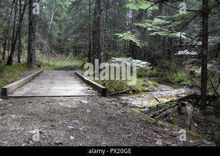 Près de pont de Dewey Lake Banque D'Images