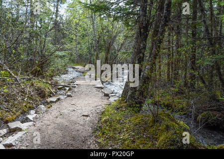 Près de pont de Dewey Lake Banque D'Images