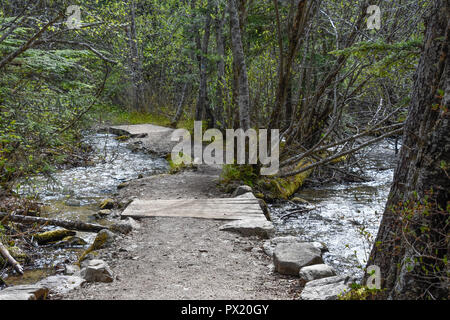 Près de pont de Dewey Lake Banque D'Images