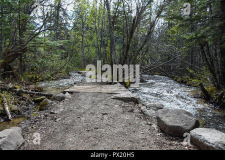 Près de pont de Dewey Lake Banque D'Images