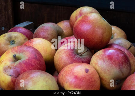 Les pommes fraîches dans le Borough Market Banque D'Images