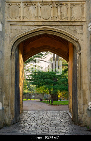 L'Évêque's Eye vert entrée au Palais de l'Évêché de Wells, Somerset, UK Banque D'Images