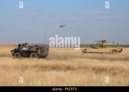 Un hélicoptère blindé) et aller de l'avant comme un M1A2 Abrams tank de la Compagnie Charlie, 2e Bataillon, 5e régiment de cavalerie, 1st Armored Brigade Combat Team, 1re Division de cavalerie veille au cours d'un exercice sur le terrain à l'Épée de Justice Smardan Domaine de formation, la Roumanie, le 11 octobre 2018. Les soldats du bataillon sont déployés à l'Europe en faveur de la résolution de l'Atlantique, un exercice d'entraînement durables entre l'OTAN et des forces américaines. Banque D'Images