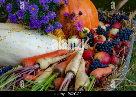 Assortiment de fruits et légumes frais, y compris les carottes, mûres, pommes et potiron avec fleurs bleues. Banque D'Images