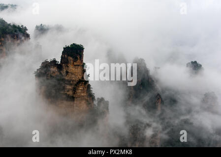 Brume matinale dans le Parc Naturel Montagne Tianzi près de Xiangyuan Inn, Helong Park. Wulingyuan, Zhangjiajie, Hunan, Chine. Banque D'Images