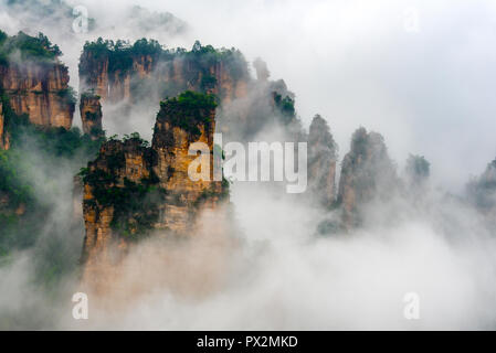 Brume matinale dans le Parc Naturel Montagne Tianzi près de Xiangyuan Inn, Helong Park. Wulingyuan, Zhangjiajie, Hunan, Chine. Banque D'Images