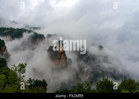 Brume matinale dans le Parc Naturel Montagne Tianzi près de Xiangyuan Inn, Helong Park. Wulingyuan, Zhangjiajie, Hunan, Chine. Banque D'Images