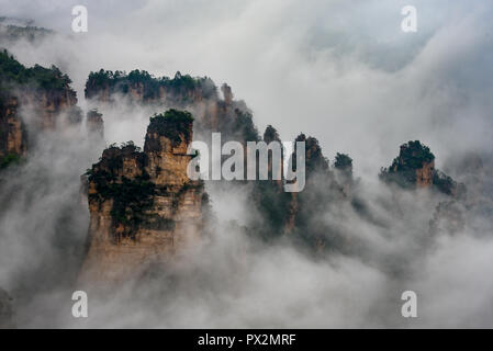 Brume matinale dans le Parc Naturel Montagne Tianzi près de Xiangyuan Inn, Helong Park. Wulingyuan, Zhangjiajie, Hunan, Chine. Banque D'Images