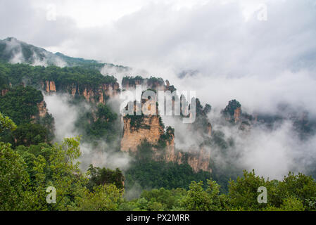 Brume matinale dans le Parc Naturel Montagne Tianzi près de Xiangyuan Inn, Helong Park. Wulingyuan, Zhangjiajie, Hunan, Chine. Banque D'Images