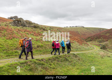 La marche sur la Two Moors Way près de Simonsbath, Exmoor, UK Banque D'Images